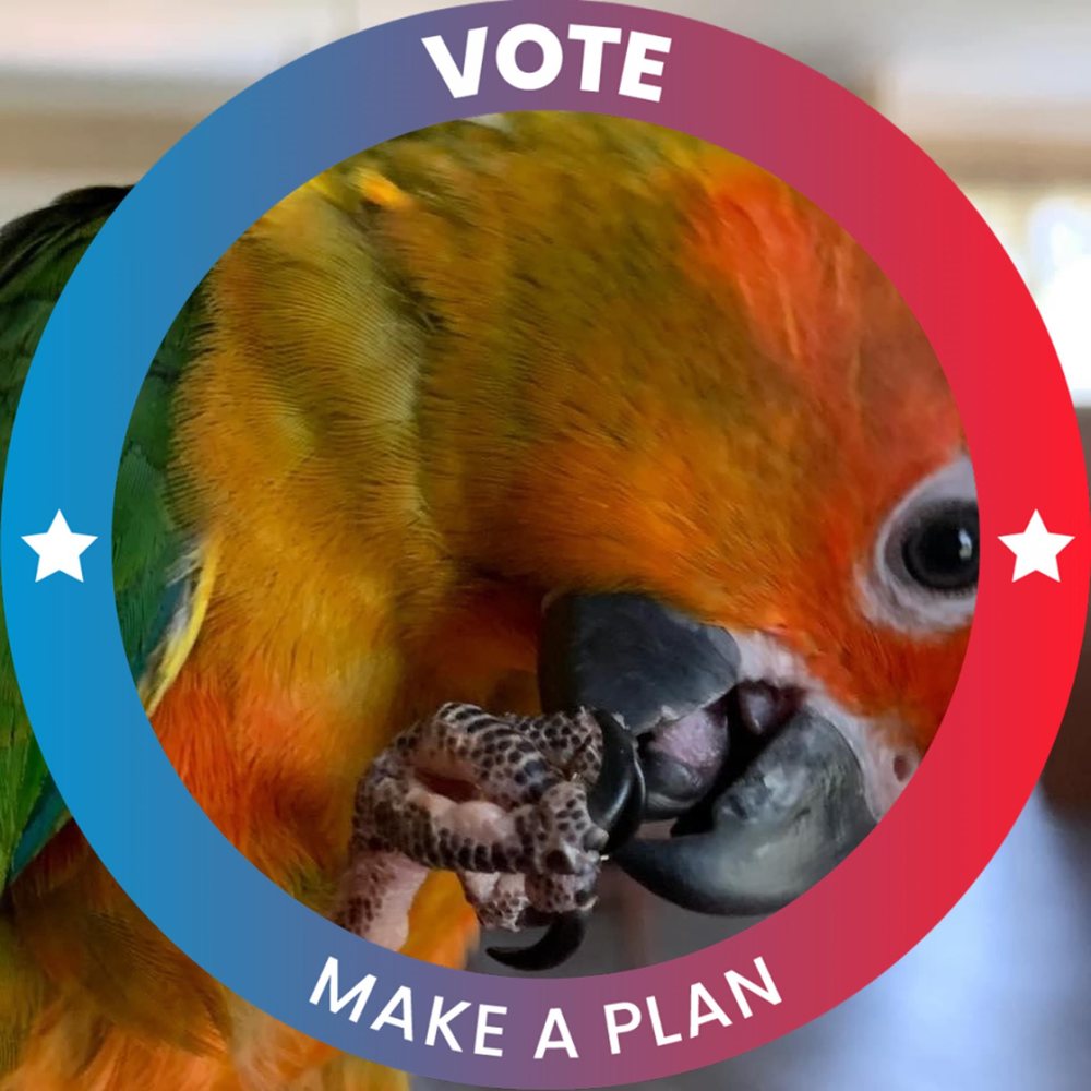 Meet your Posher, Kristi